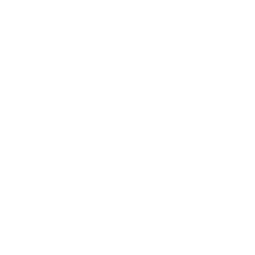 Commerce Advisory Network Home 4. Sustainable success instead of short-term hype